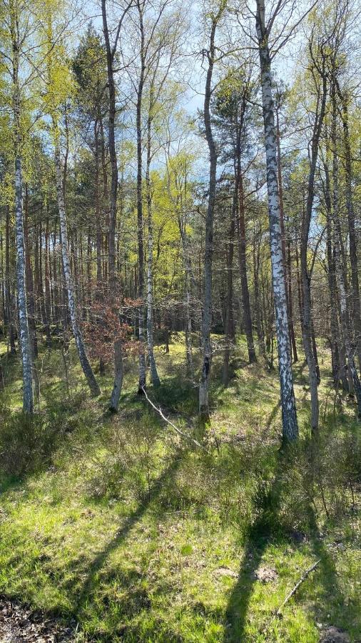 Morskie Oczko Zarnowska Exteriör bild